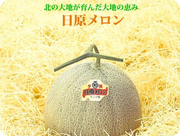 生活相談も仕事探しも。札幌の味噌ラーメンが後押しします